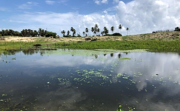 Jacarés em lago de Maracajaú geram alerta entre moradores, que cobram ação urgente das autoridades