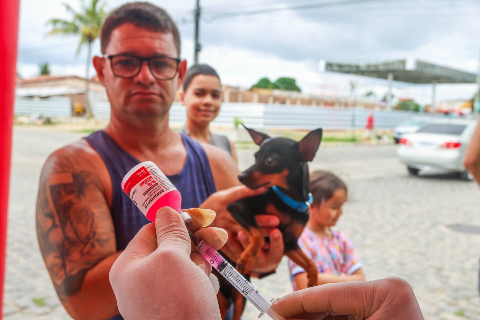 Prefeitura de Parnamirim segue com vacinação antirrábica e já imunizou quase 3 mil cães e gatos