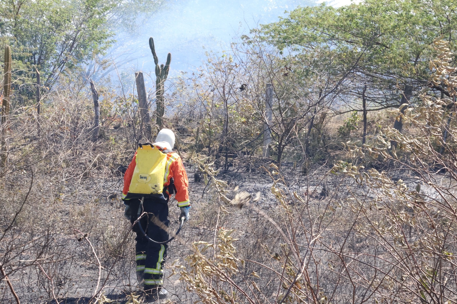 Bombeiros alertam para aumento de incêndios em vegetação no RN