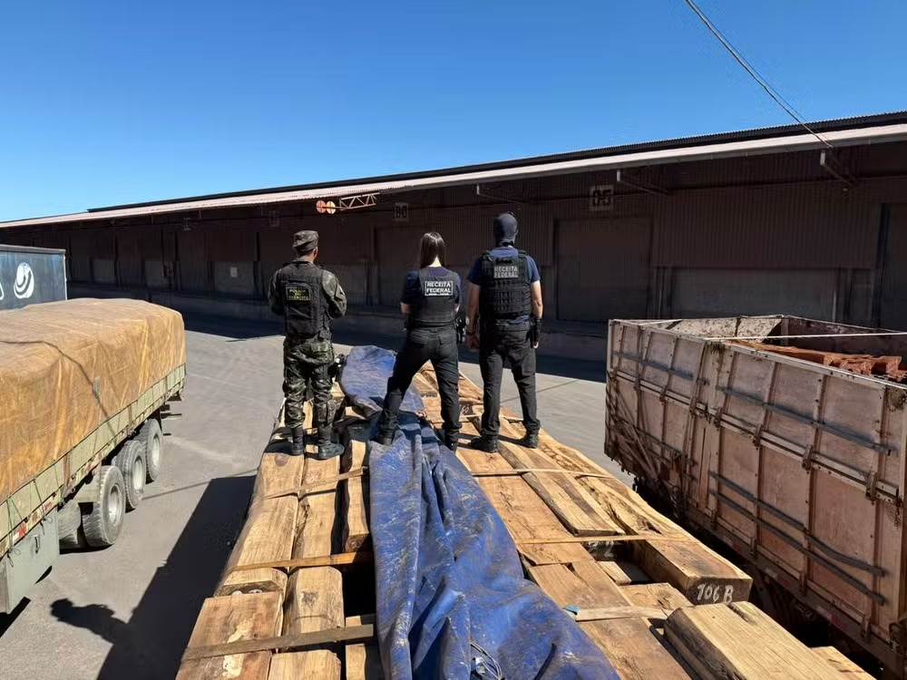 Operação internacional Timber Shield intercepta 260 toneladas de madeira com cocaína na fronteira